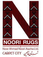 Noor Aqcha Logo Light